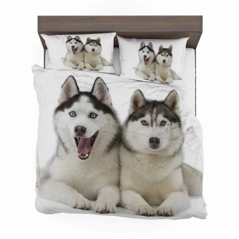 Canine Adventure Captured: Husky Quartet Bedding Set 1