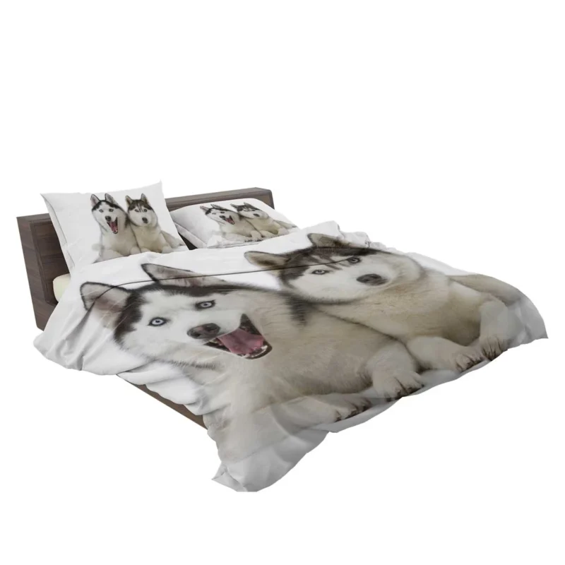 Canine Adventure Captured: Husky Quartet Bedding Set 2