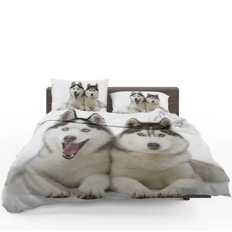 Canine Adventure Captured: Husky Quartet Bedding Set