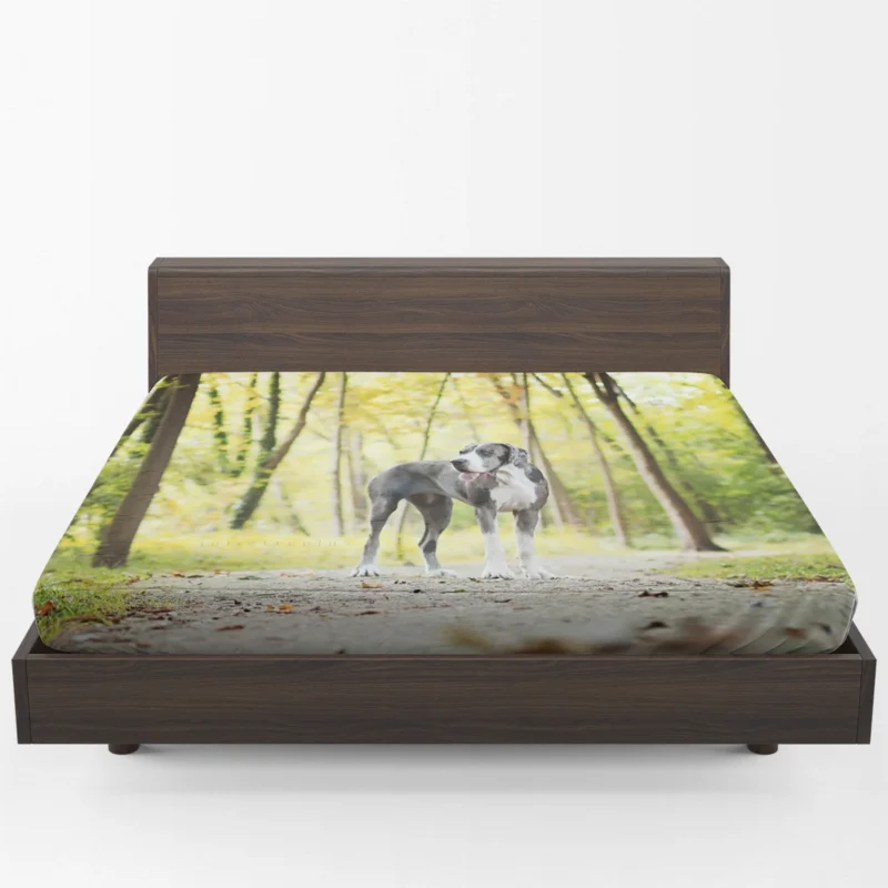 Canine Adventure: Great Dane Forest Path Fitted Sheet 1