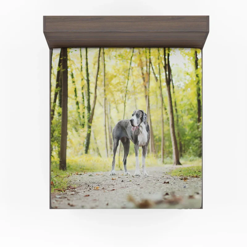 Canine Adventure: Great Dane Forest Path Fitted Sheet