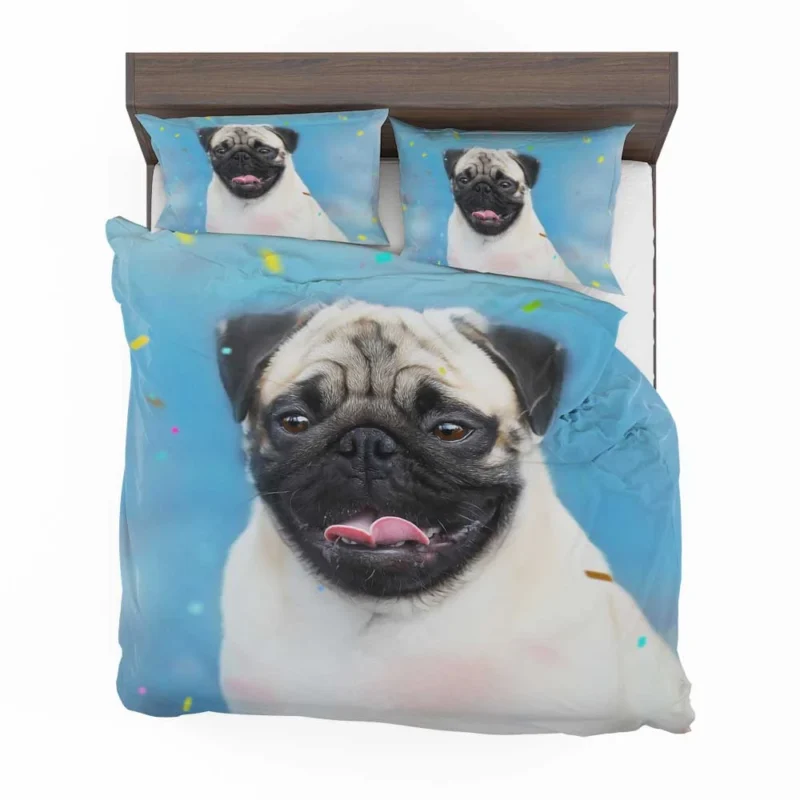 Canine Beauty Dog: Pug Quartet Bedding Set 1