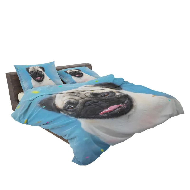 Canine Beauty Dog: Pug Quartet Bedding Set 2