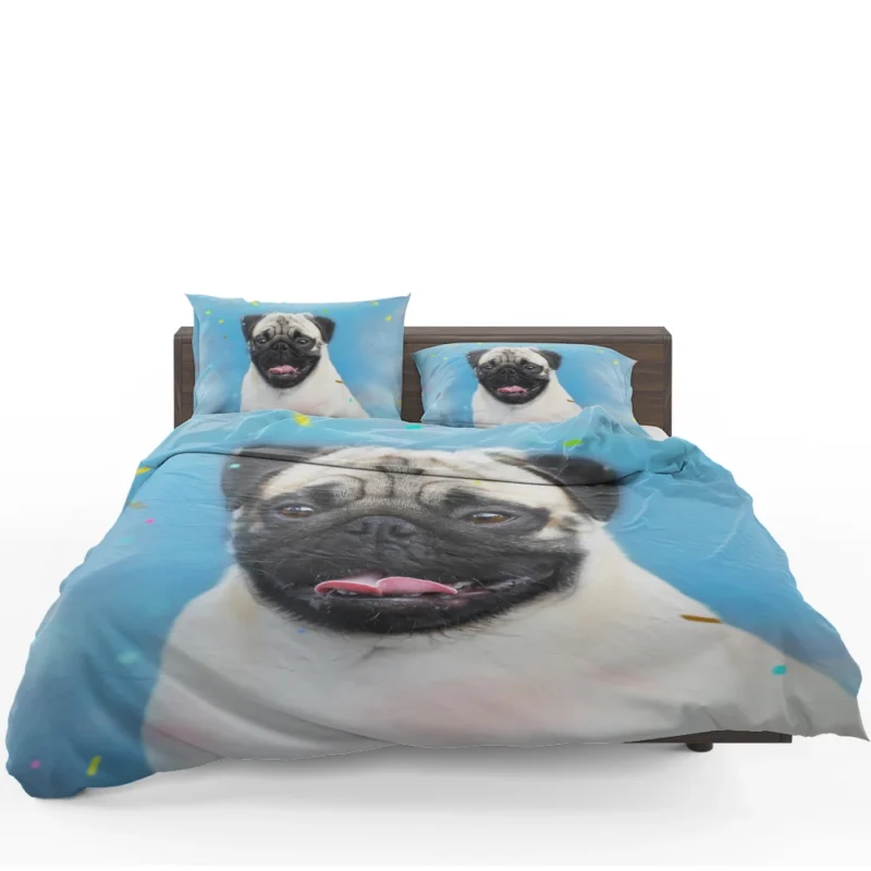 Canine Beauty Dog: Pug Quartet Bedding Set