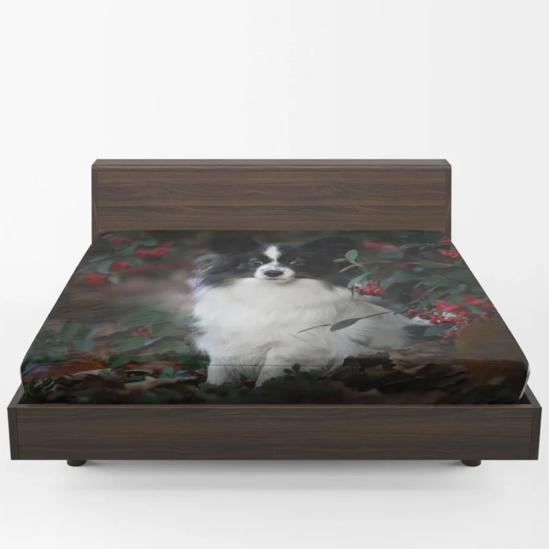 Canine Beauty: Papillon Wallpaper Fitted Sheet 1