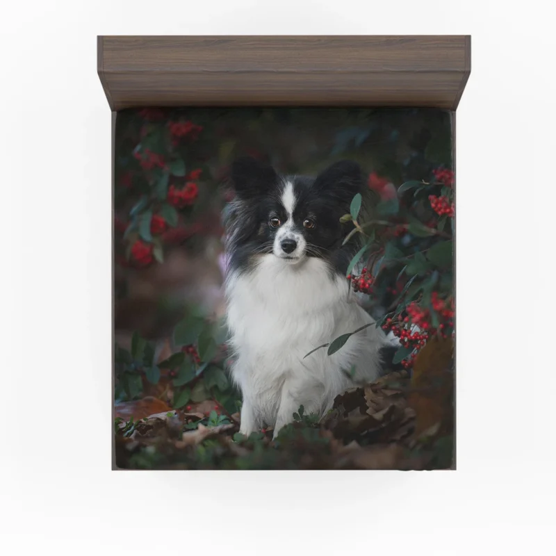 Canine Beauty: Papillon Wallpaper Fitted Sheet