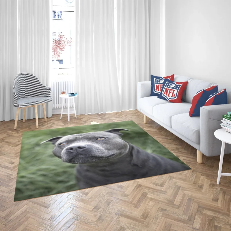 Canine Beauty: Pit Bull Quartet Floor Rug 2