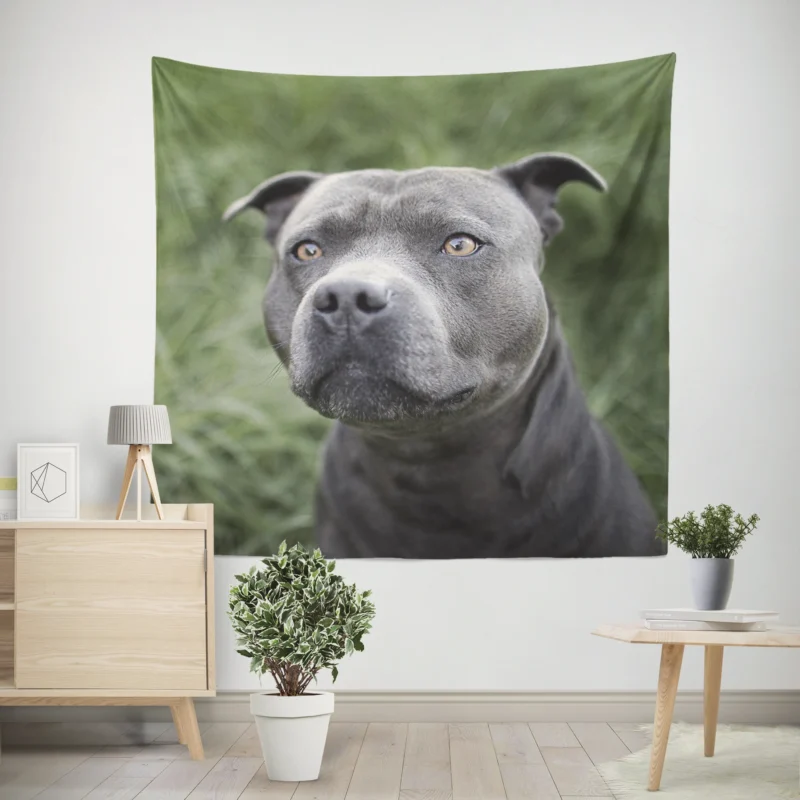 Canine Beauty  Pit Bull Quartet Wall Tapestry