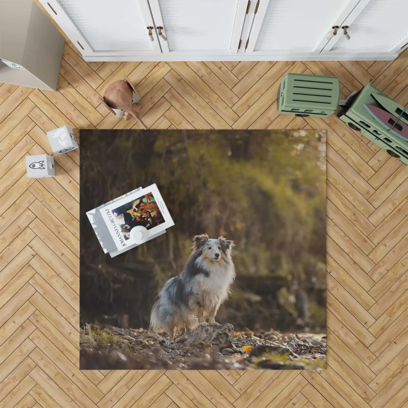 Canine Beauty: Rough Collie Quartet Floor Rug