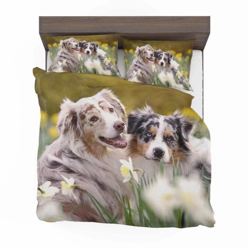 Canine Beauty with Daffodils: Australian Shepherd Bedding Set 1