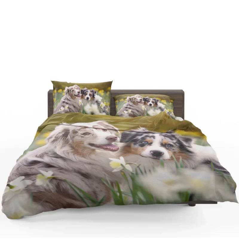 Canine Beauty with Daffodils: Australian Shepherd Bedding Set