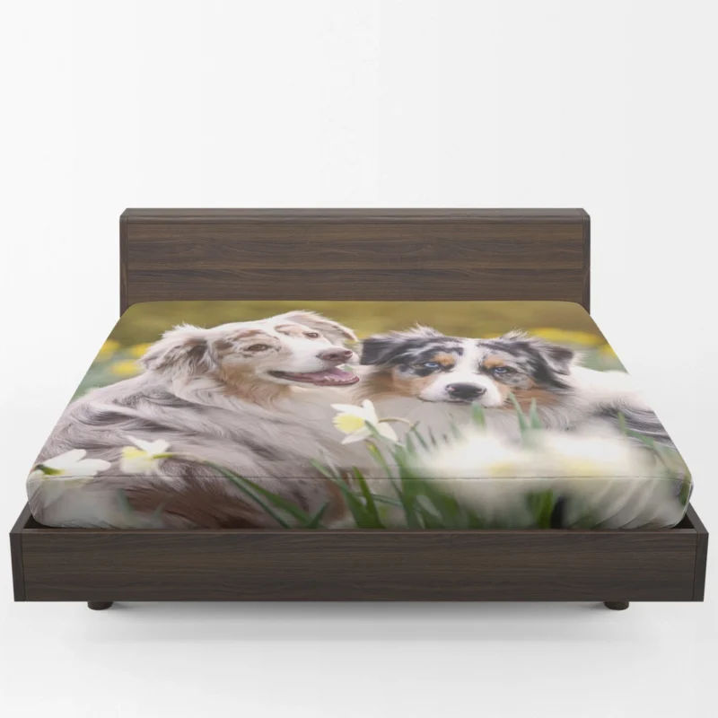 Canine Beauty with Daffodils: Australian Shepherd Fitted Sheet 1