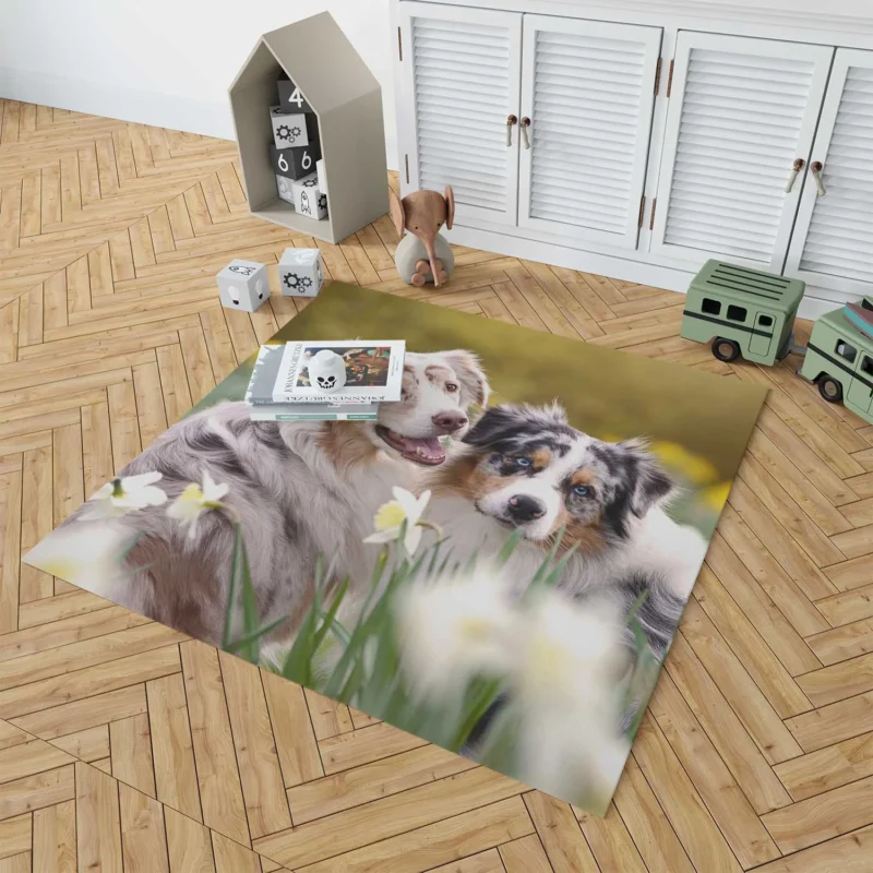 Canine Beauty with Daffodils: Australian Shepherd Floor Rug 1