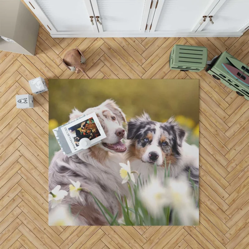 Canine Beauty with Daffodils: Australian Shepherd Floor Rug