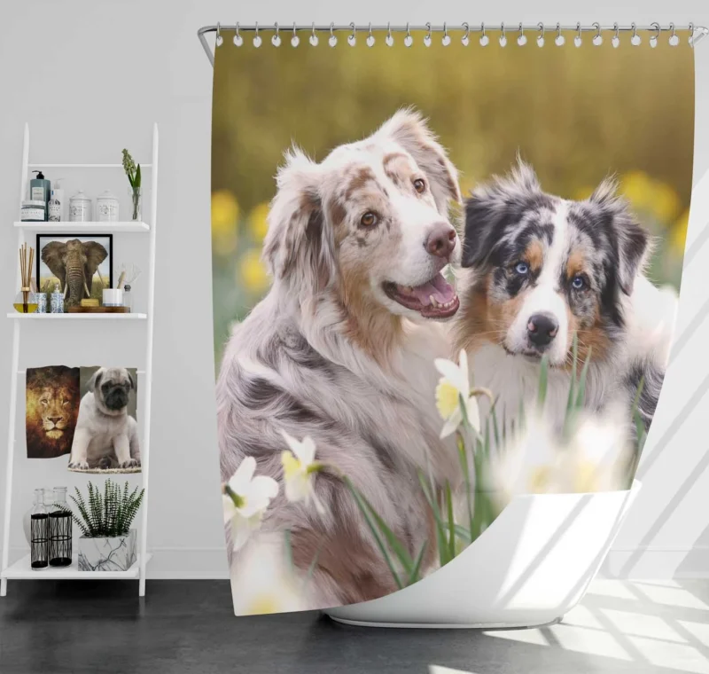 Canine Beauty with Daffodils: Australian Shepherd Shower Curtain