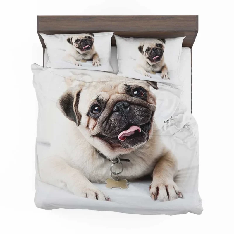 Canine Charm Friendly: Pug Quartet Bedding Set 1