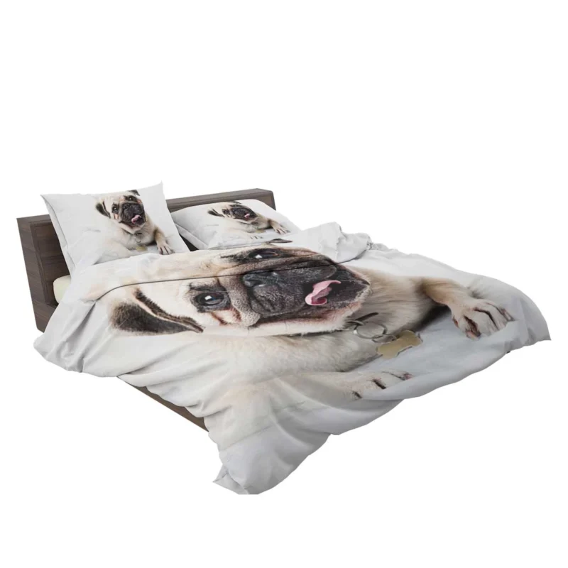 Canine Charm Friendly: Pug Quartet Bedding Set 2