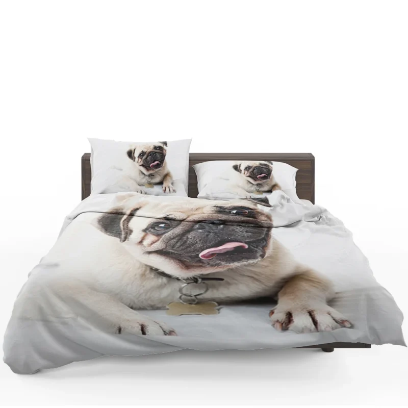 Canine Charm Friendly: Pug Quartet Bedding Set