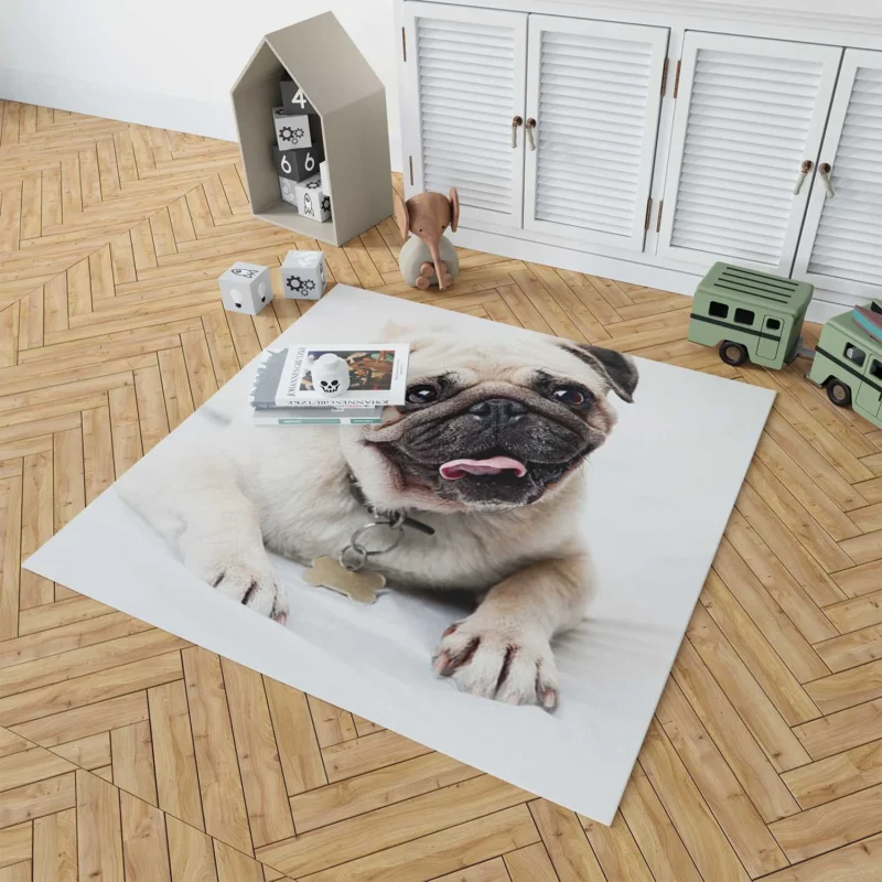 Canine Charm Friendly: Pug Quartet Floor Rug 1