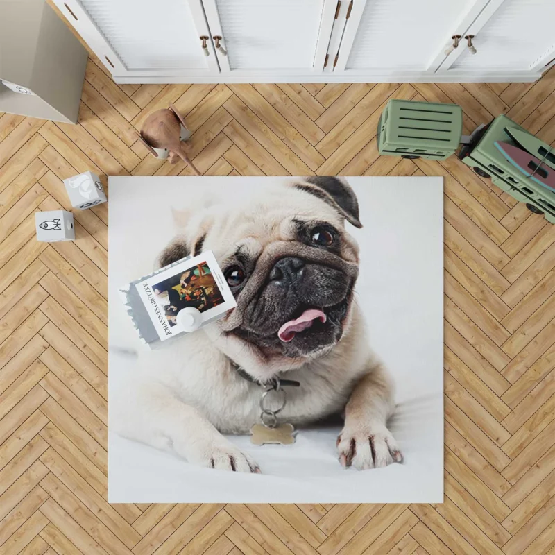 Canine Charm Friendly: Pug Quartet Floor Rug