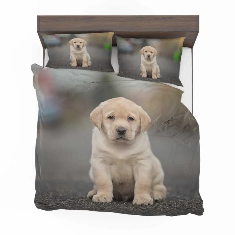 Canine Charm: Labrador Puppy Quartet in Depth Bedding Set 1