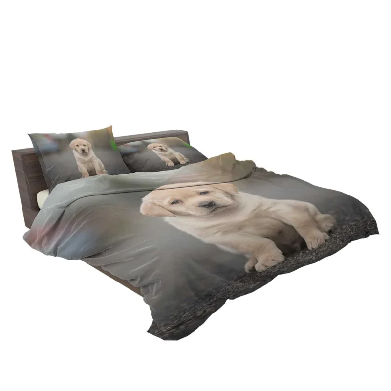 Canine Charm: Labrador Puppy Quartet in Depth Bedding Set 2