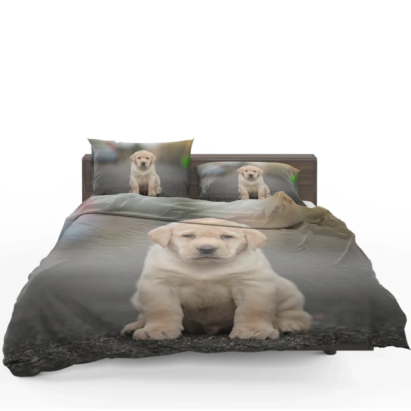 Canine Charm: Labrador Puppy Quartet in Depth Bedding Set