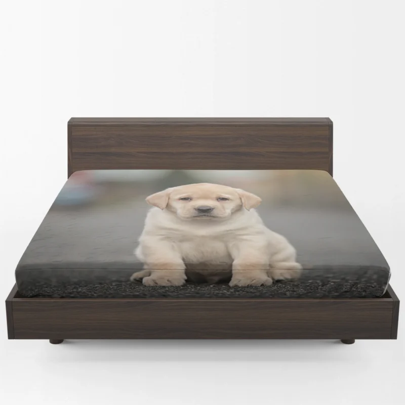 Canine Charm: Labrador Puppy Quartet in Depth Fitted Sheet 1