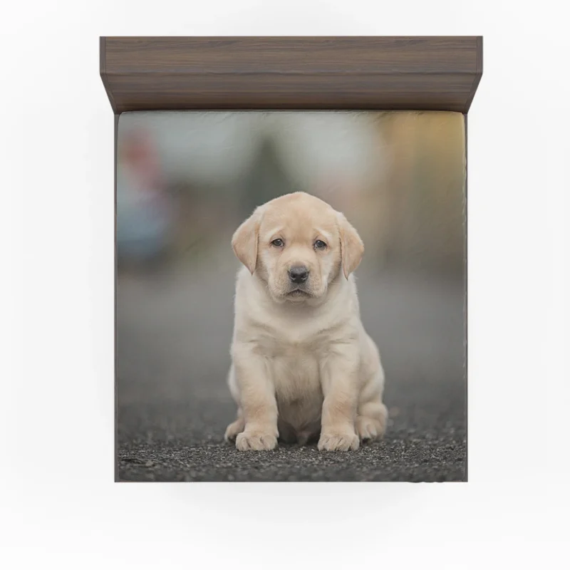 Canine Charm: Labrador Puppy Quartet in Depth Fitted Sheet