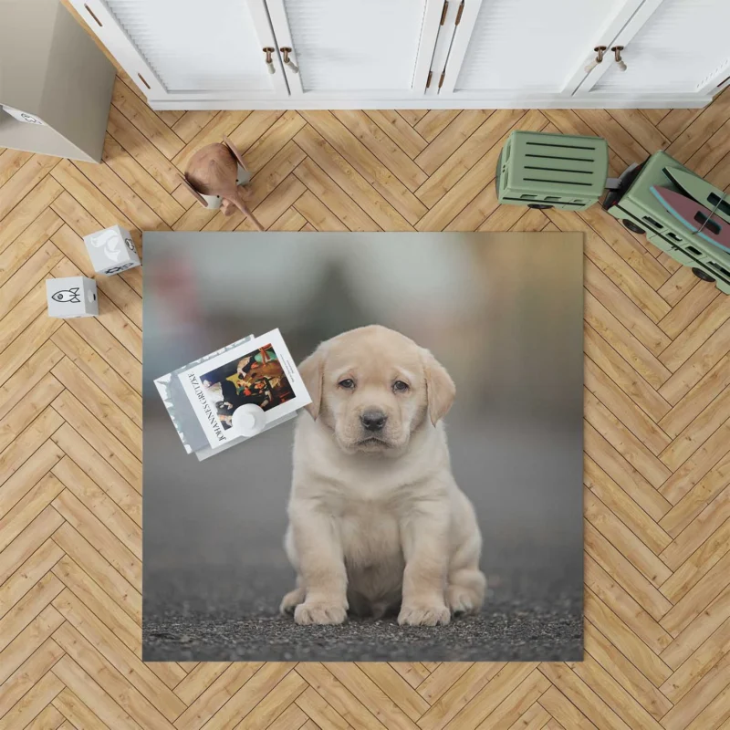 Canine Charm: Labrador Puppy Quartet in Depth Floor Rug