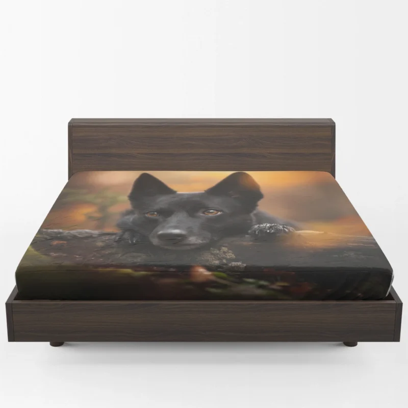 Canine Charm from Down Under: Kelpie Quartet Fitted Sheet 1