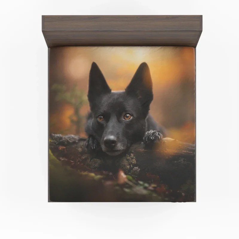 Canine Charm from Down Under: Kelpie Quartet Fitted Sheet