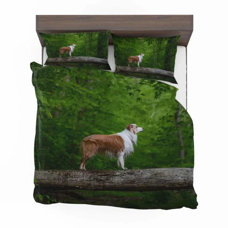 Canine Companions in the Forest: Australian Shepherd Bedding Set 1