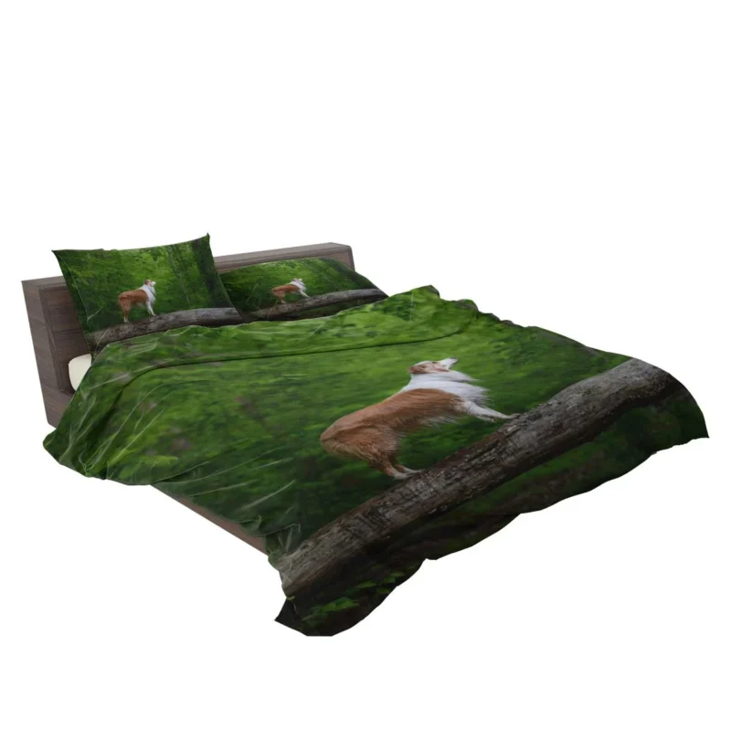 Canine Companions in the Forest: Australian Shepherd Bedding Set 2