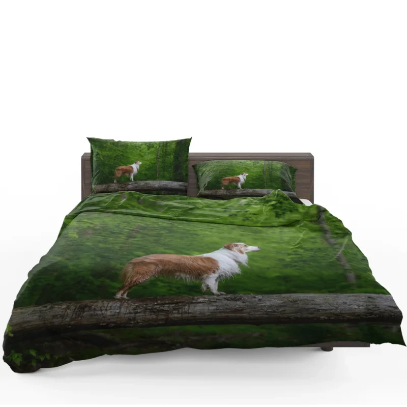 Canine Companions in the Forest: Australian Shepherd Bedding Set