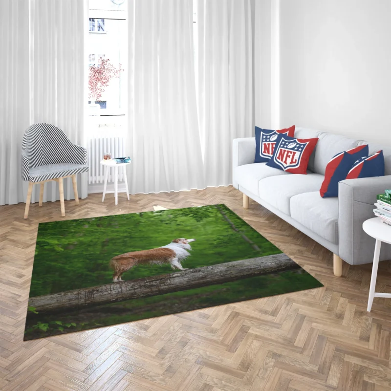 Canine Companions in the Forest: Australian Shepherd Floor Rug 2