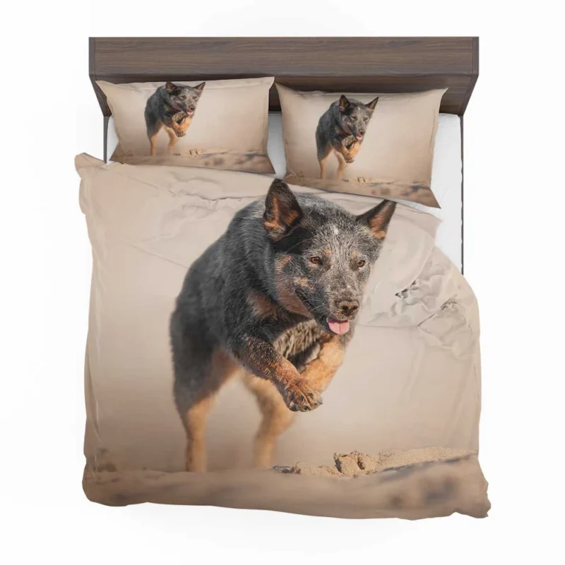 Canine Companions on the Sand: Australian Cattle Dog Bedding Set 1