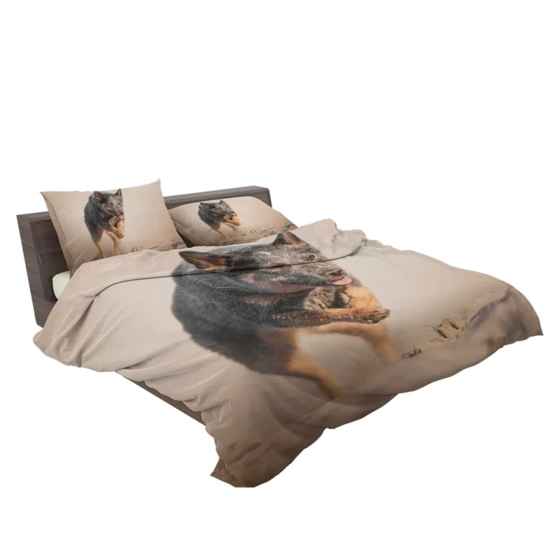 Canine Companions on the Sand: Australian Cattle Dog Bedding Set 2