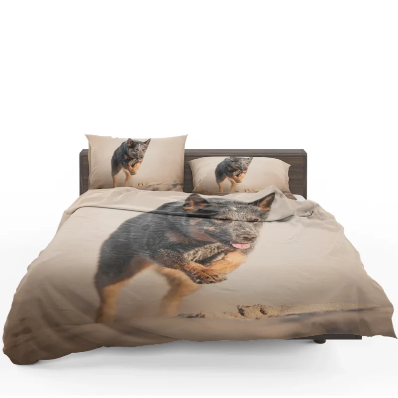 Canine Companions on the Sand: Australian Cattle Dog Bedding Set