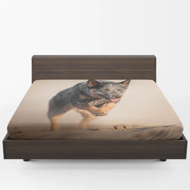 Canine Companions on the Sand: Australian Cattle Dog Fitted Sheet 1