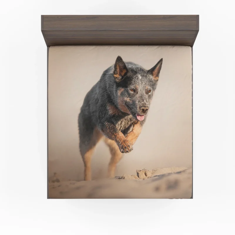 Canine Companions on the Sand: Australian Cattle Dog Fitted Sheet