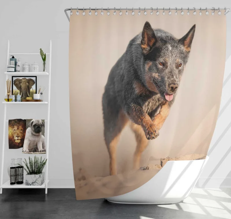 Canine Companions on the Sand: Australian Cattle Dog Shower Curtain