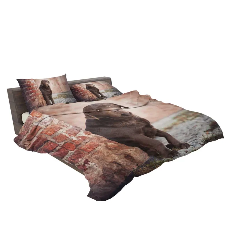 Canine Delight: Chocolate Labrador Quartet Bedding Set 2