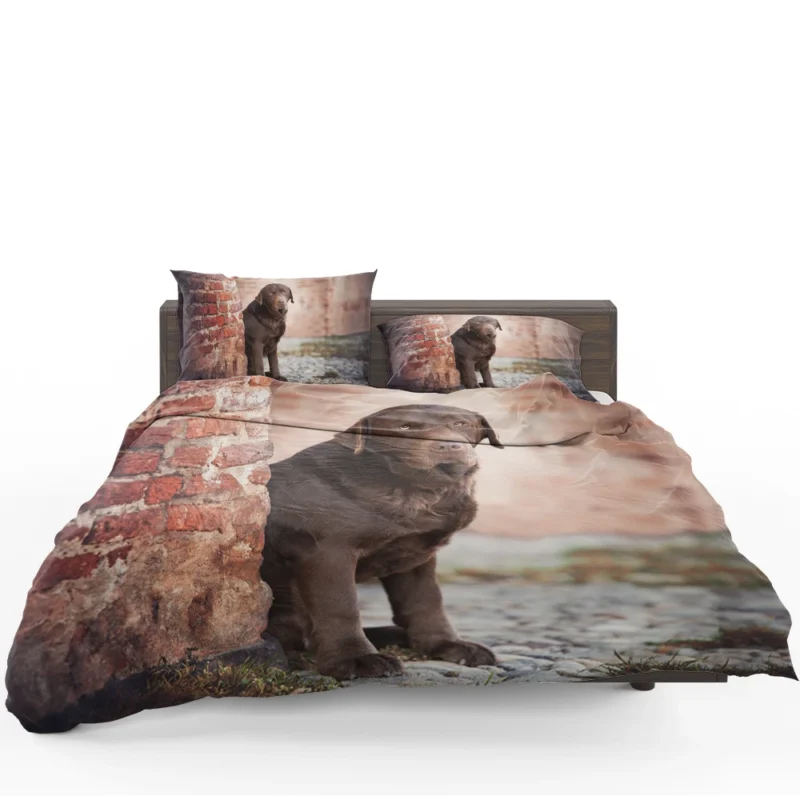 Canine Delight: Chocolate Labrador Quartet Bedding Set