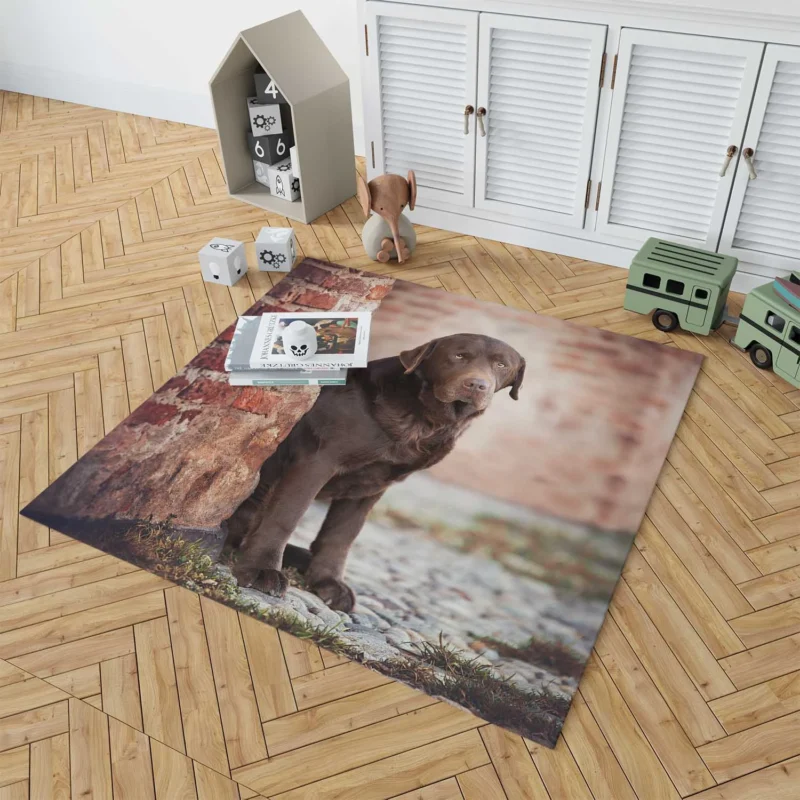 Canine Delight: Chocolate Labrador Quartet Floor Rug 1