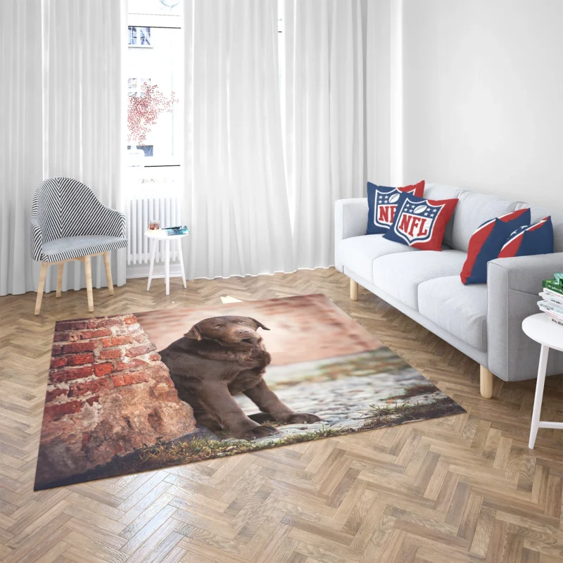 Canine Delight: Chocolate Labrador Quartet Floor Rug 2