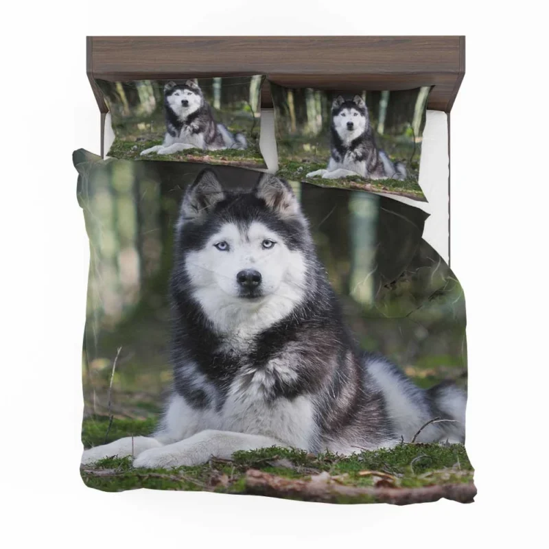 Canine Elegance: Beautiful Husky Bokeh Bedding Set 1