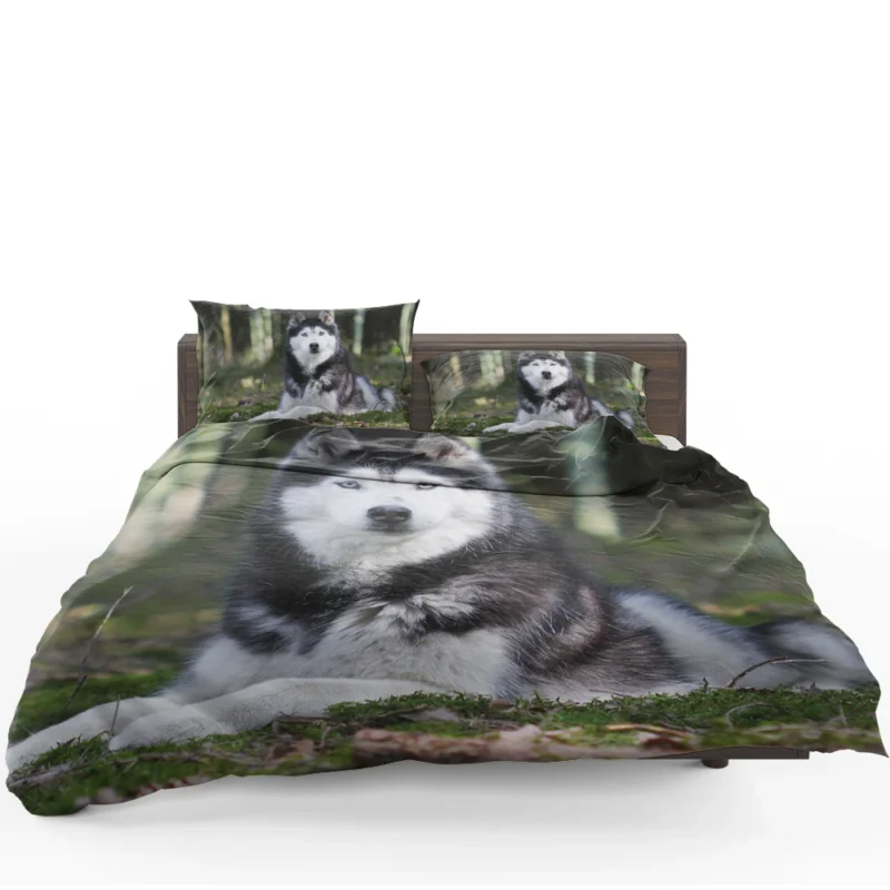 Canine Elegance: Beautiful Husky Bokeh Bedding Set