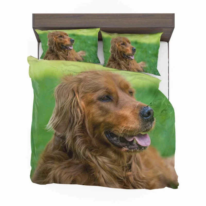 Canine Elegance: Irish Setter Muzzles in Depth Bedding Set 1