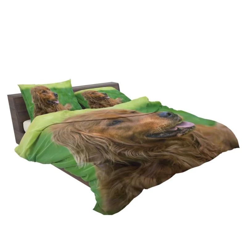 Canine Elegance: Irish Setter Muzzles in Depth Bedding Set 2